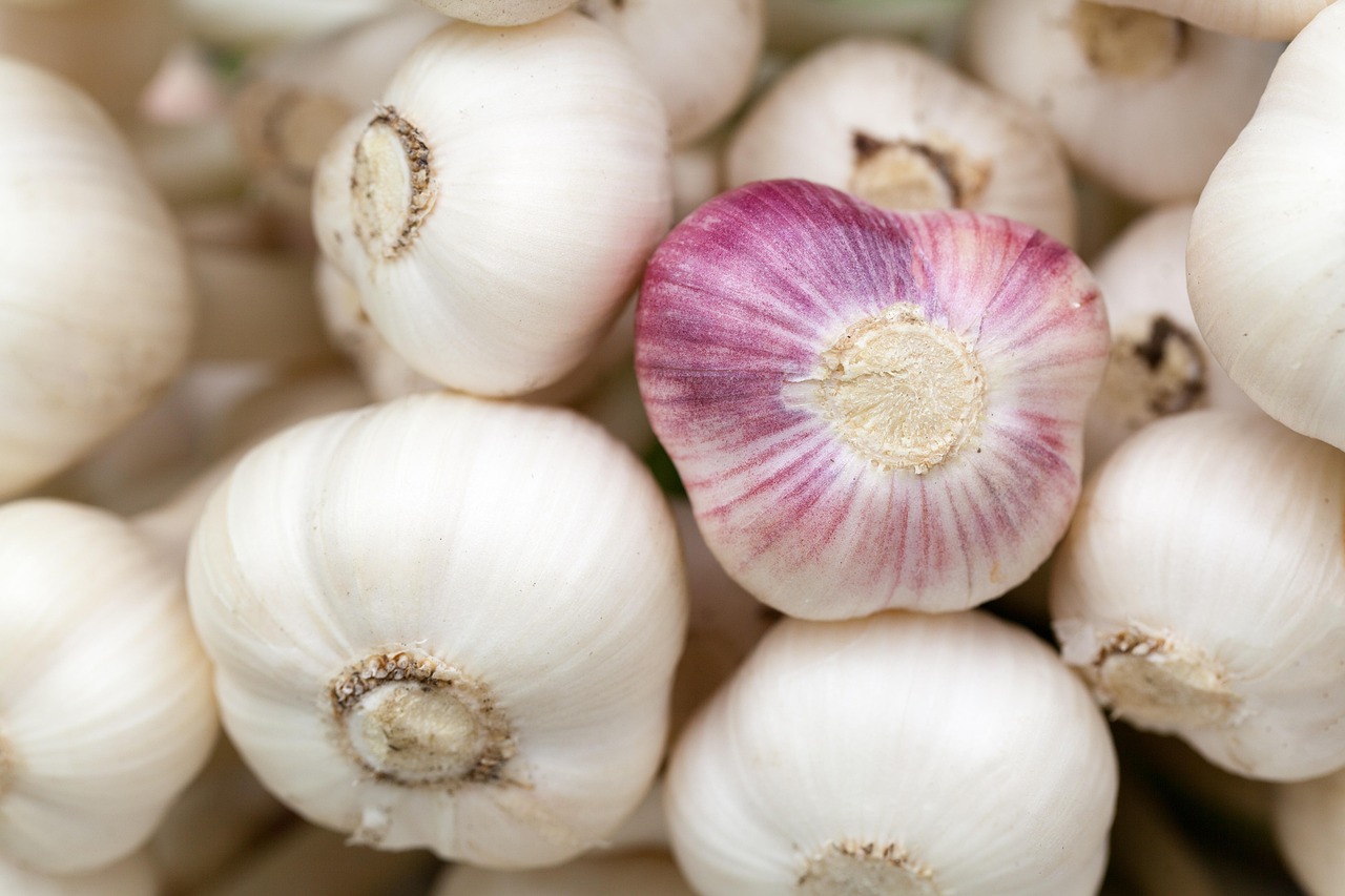 A Short History of Garlic: The Bulb That Traveled the World