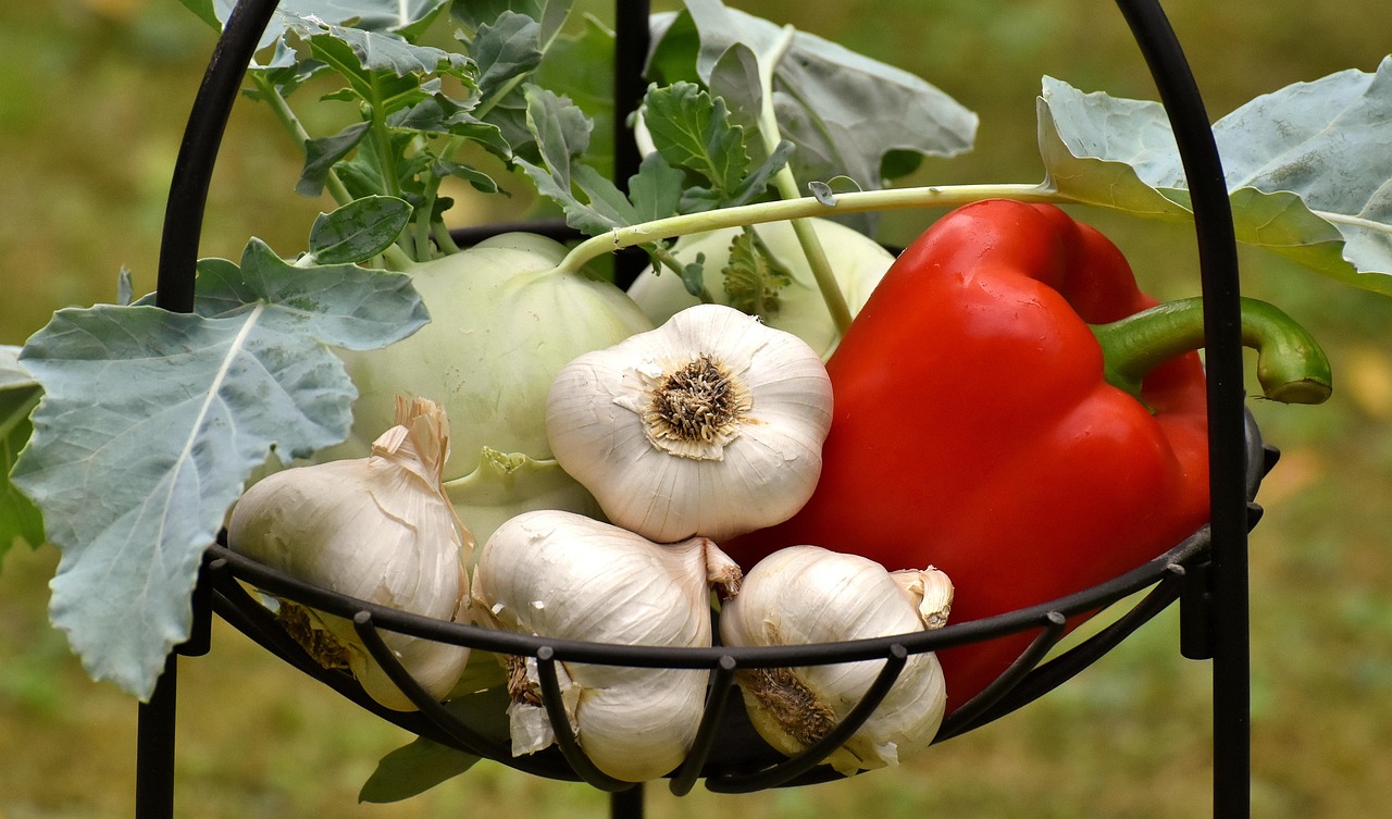 Garlic Essential Oil vs Garlic Infused Oil: Two Very Different Bottles