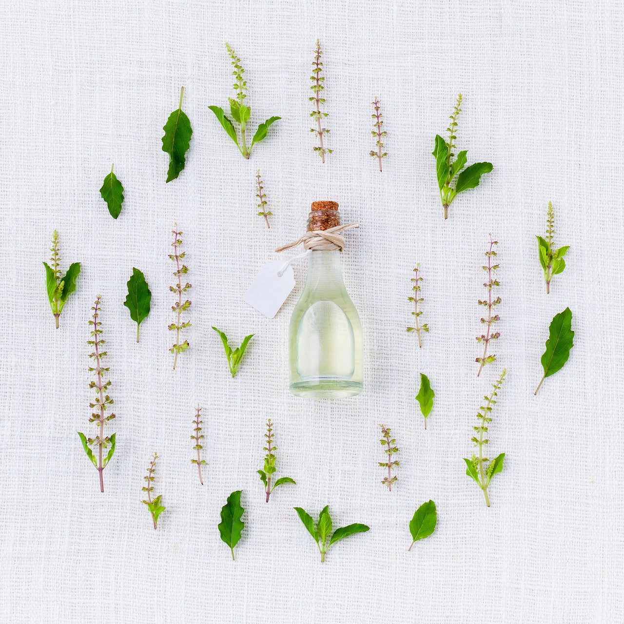 What Is Garlic Essential Oil? The Complete Guide